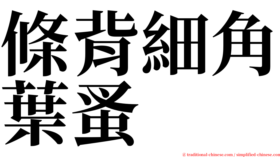 條背細角葉蚤 serif font