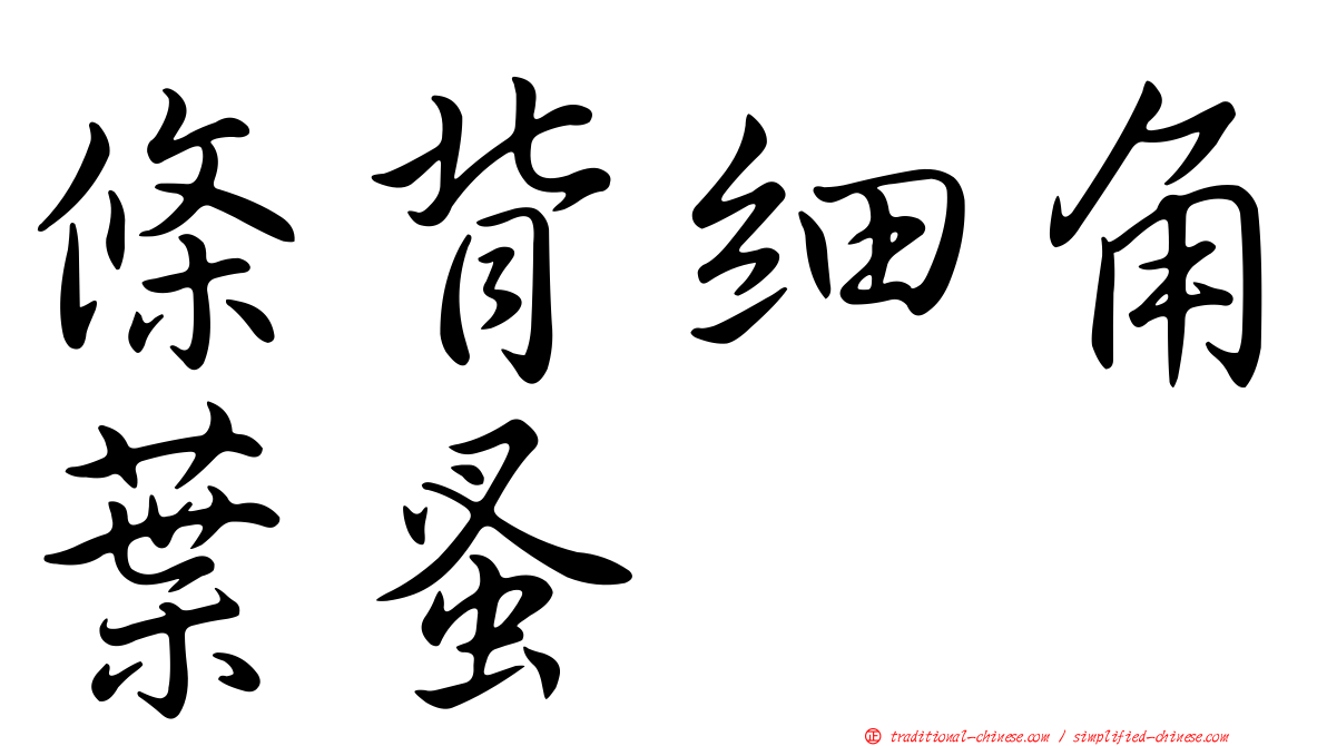 條背細角葉蚤
