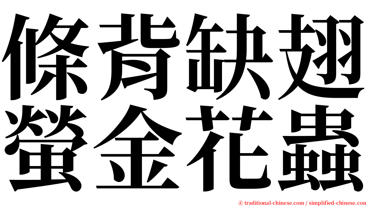 條背缺翅螢金花蟲 serif font