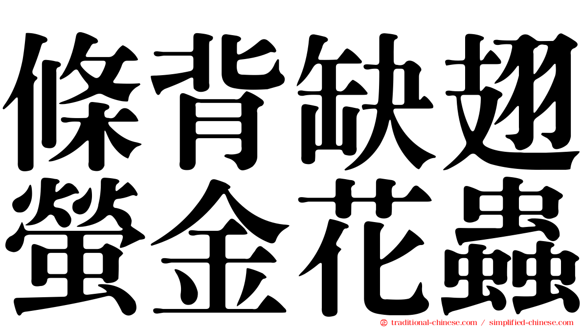 條背缺翅螢金花蟲