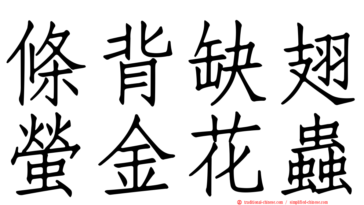 條背缺翅螢金花蟲