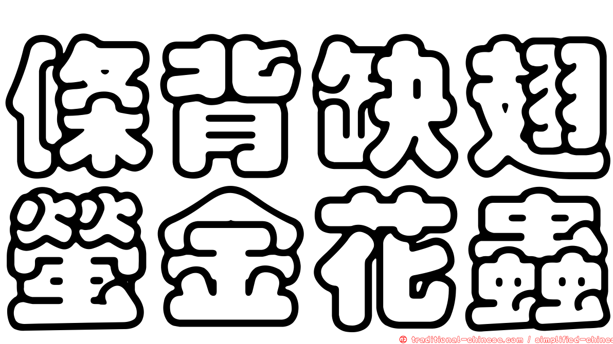 條背缺翅螢金花蟲