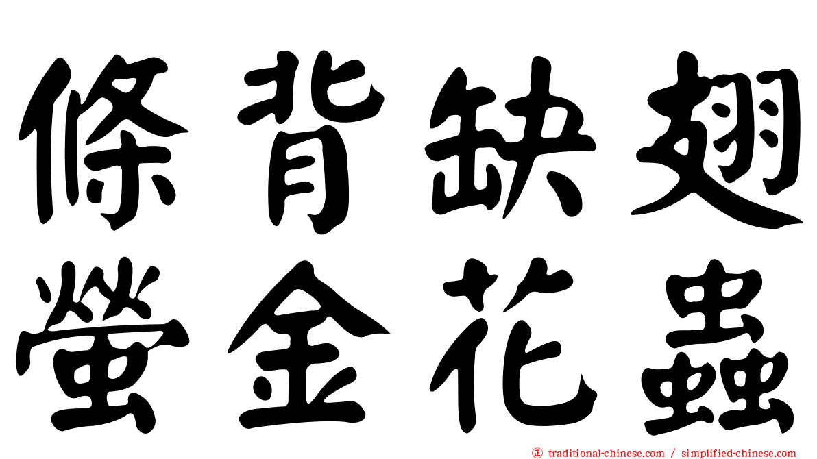 條背缺翅螢金花蟲