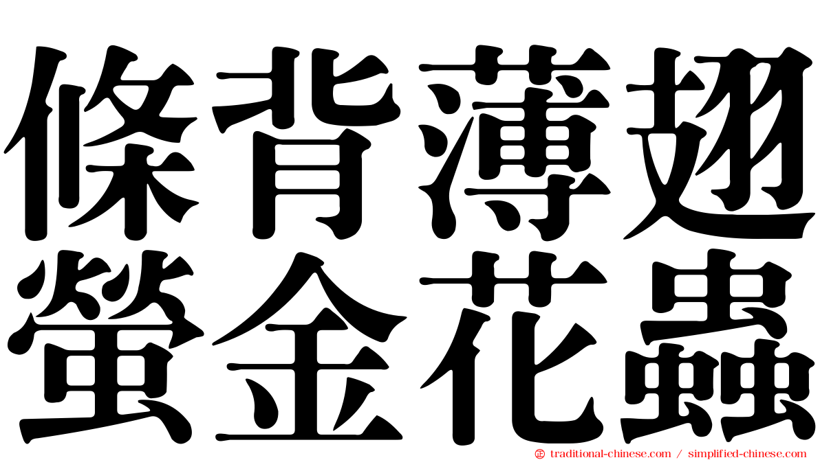 條背薄翅螢金花蟲