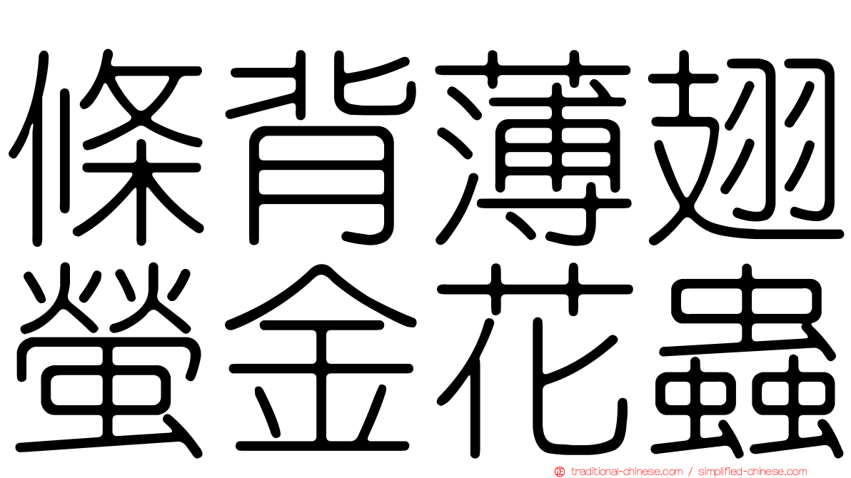 條背薄翅螢金花蟲