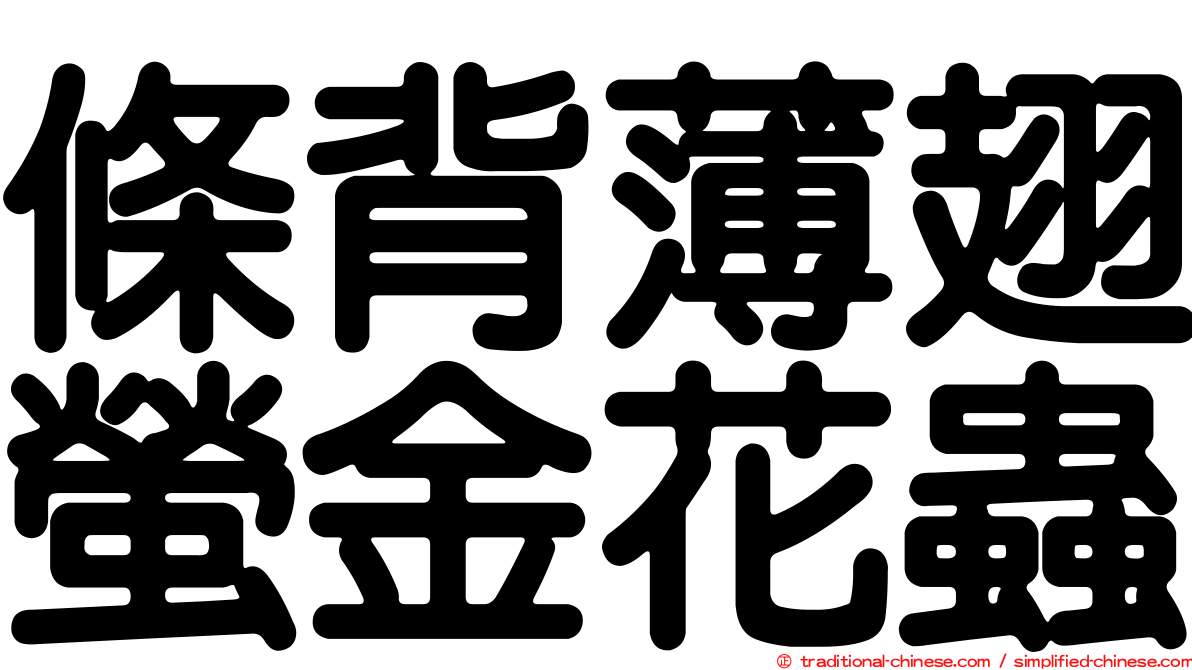 條背薄翅螢金花蟲