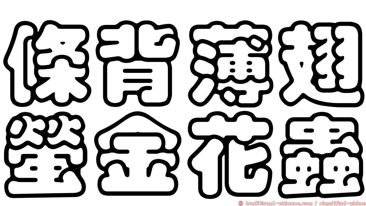 條背薄翅螢金花蟲
