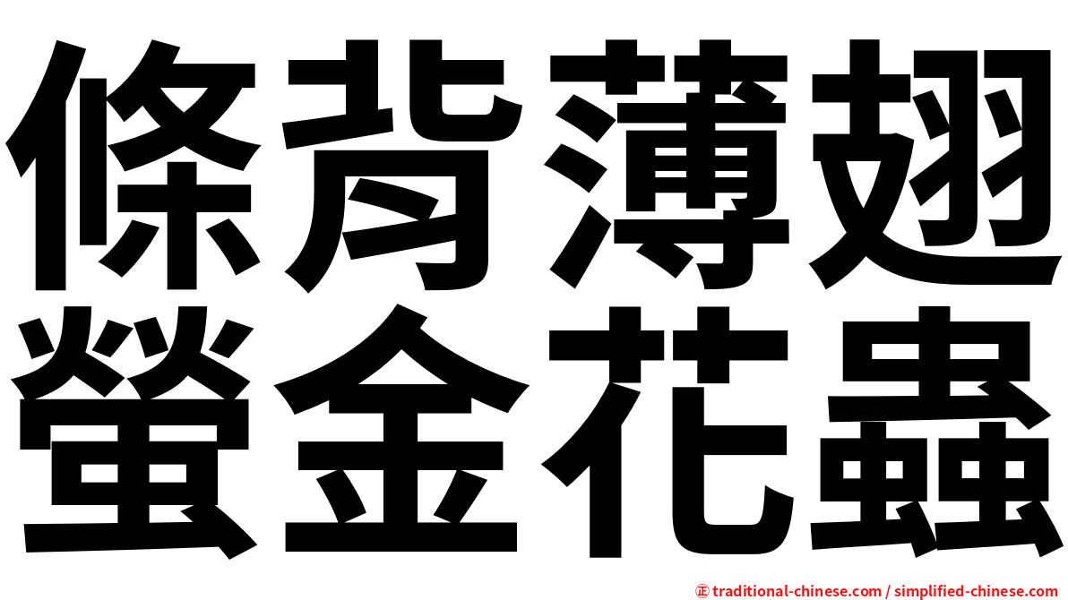 條背薄翅螢金花蟲