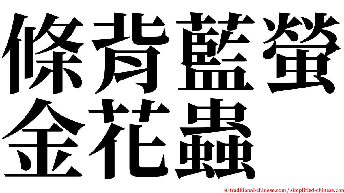 條背藍螢金花蟲 serif font