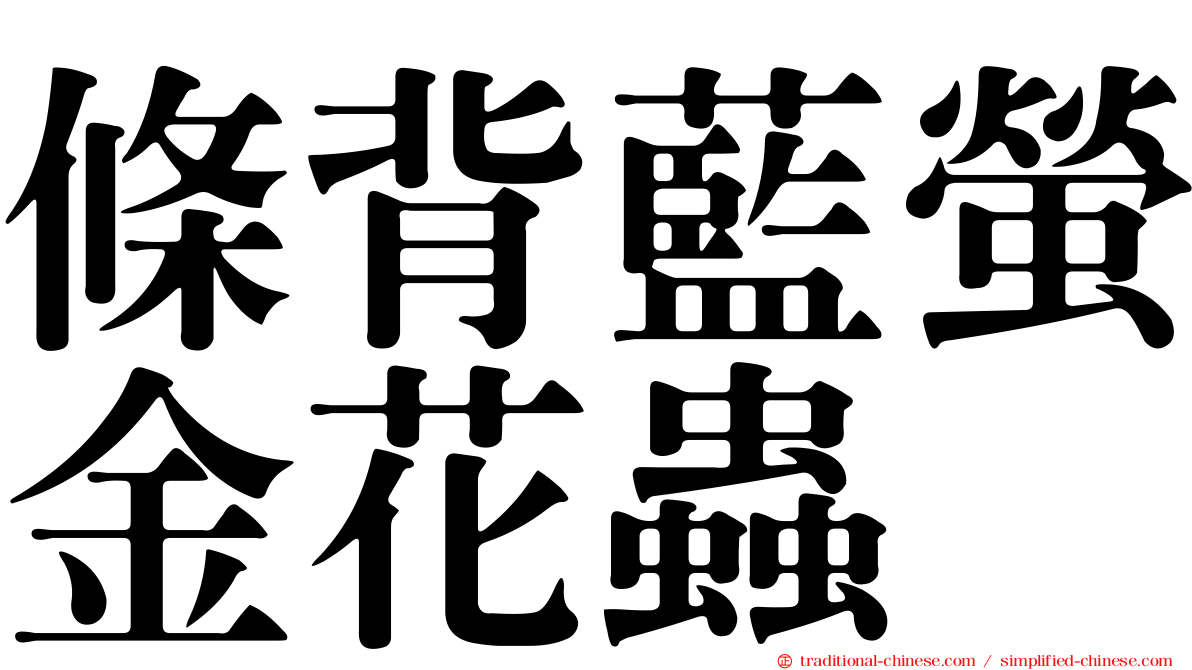 條背藍螢金花蟲