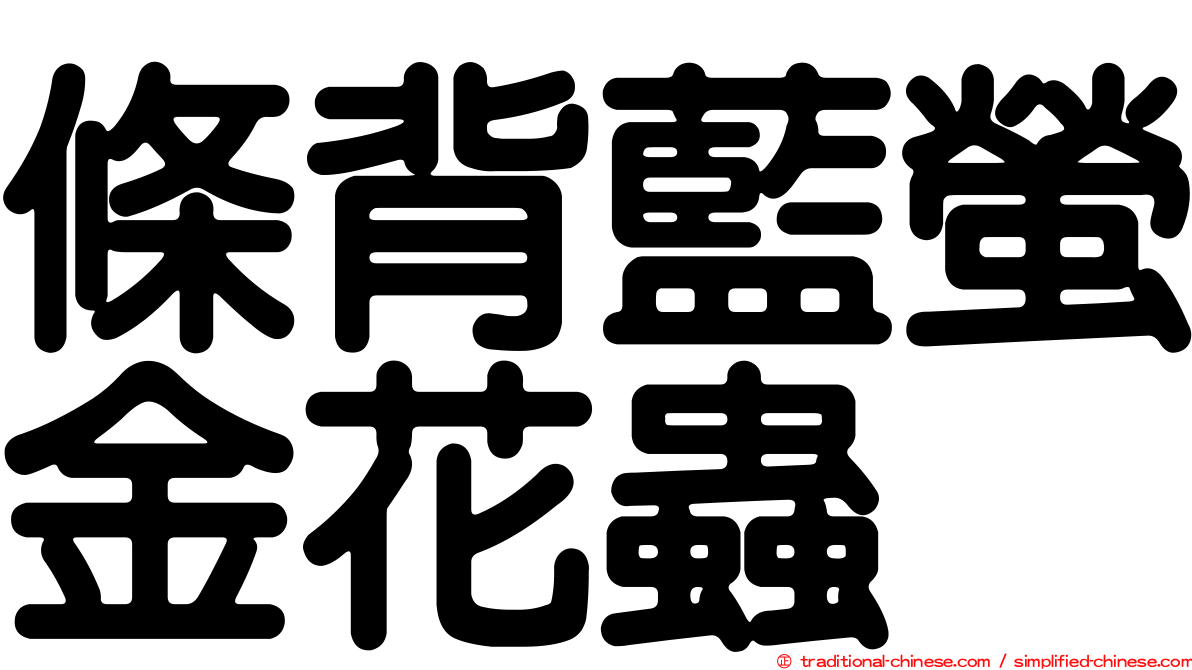 條背藍螢金花蟲