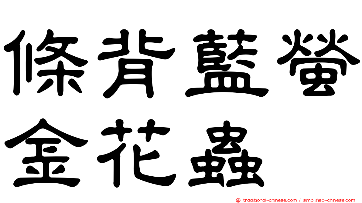 條背藍螢金花蟲