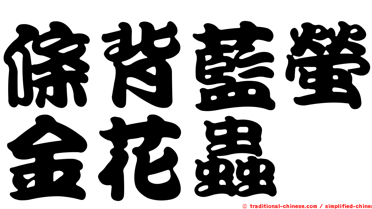 條背藍螢金花蟲