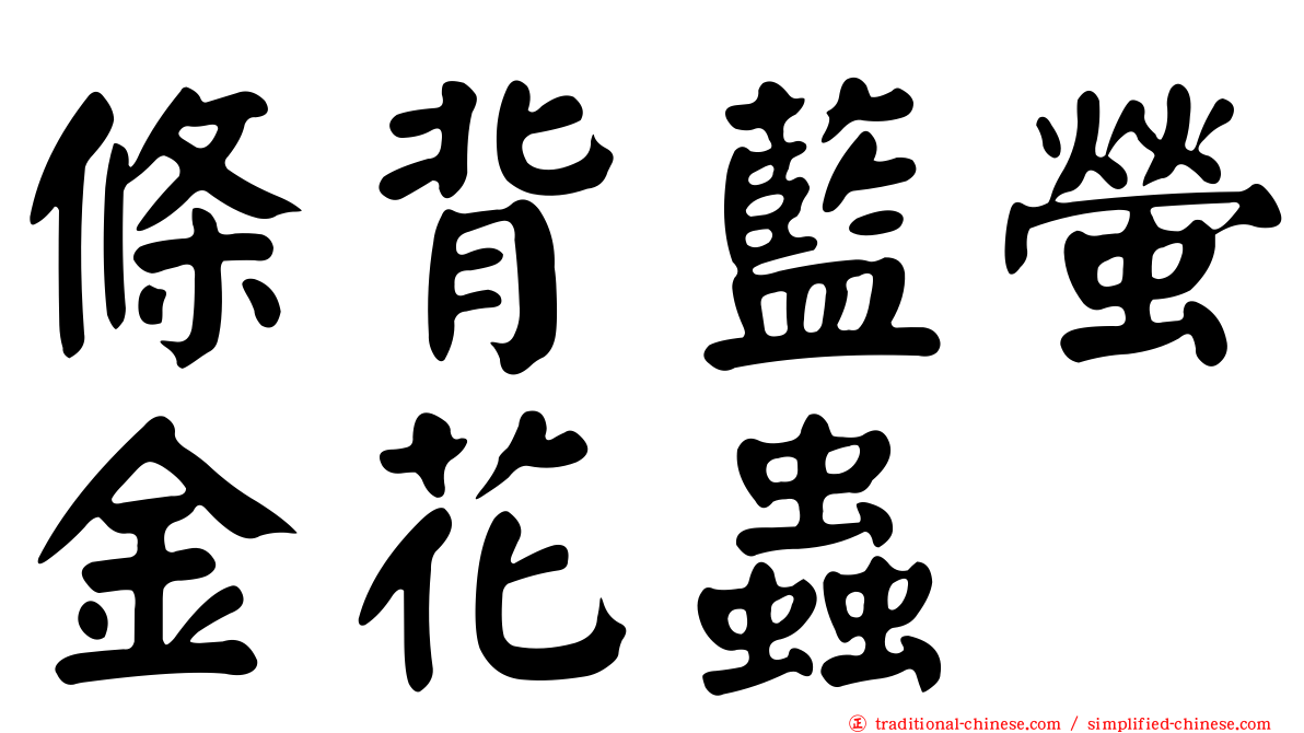 條背藍螢金花蟲