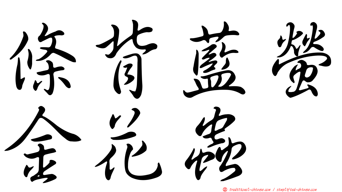 條背藍螢金花蟲
