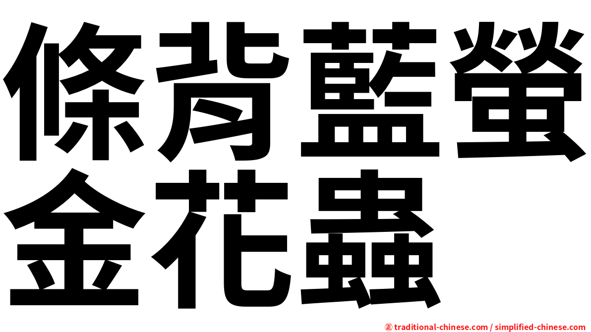 條背藍螢金花蟲