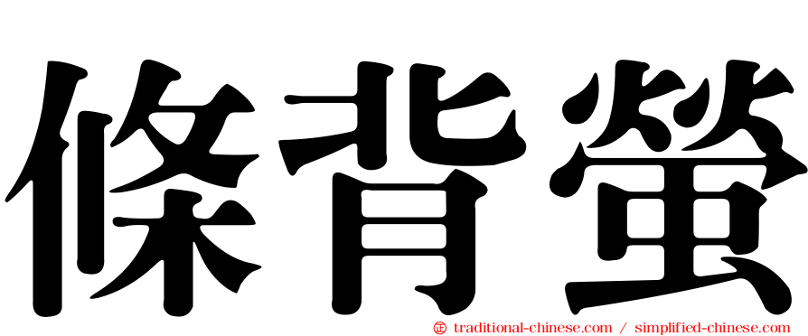 條背螢
