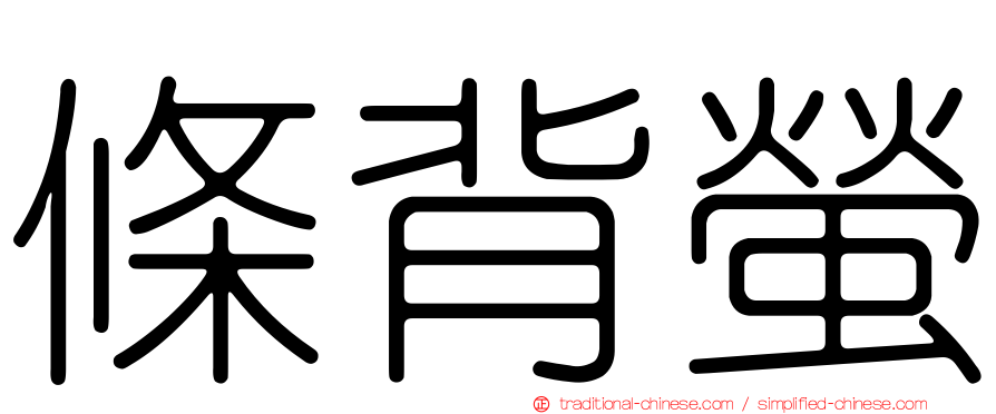 條背螢