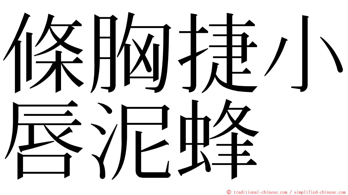 條胸捷小唇泥蜂 ming font
