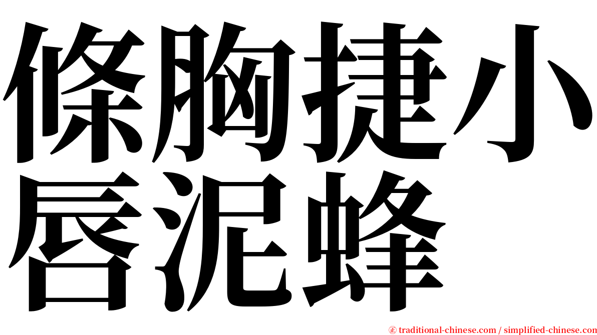 條胸捷小唇泥蜂 serif font