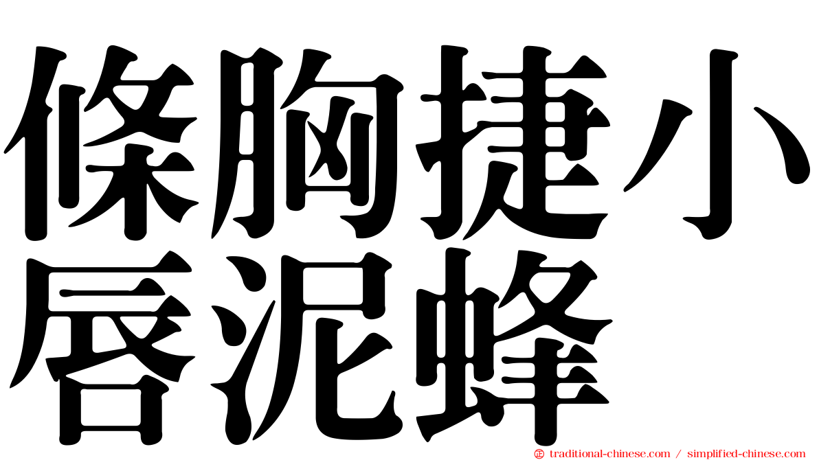 條胸捷小唇泥蜂