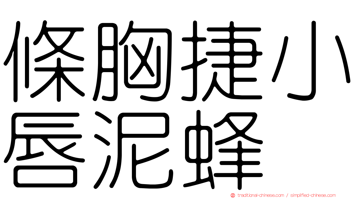 條胸捷小唇泥蜂