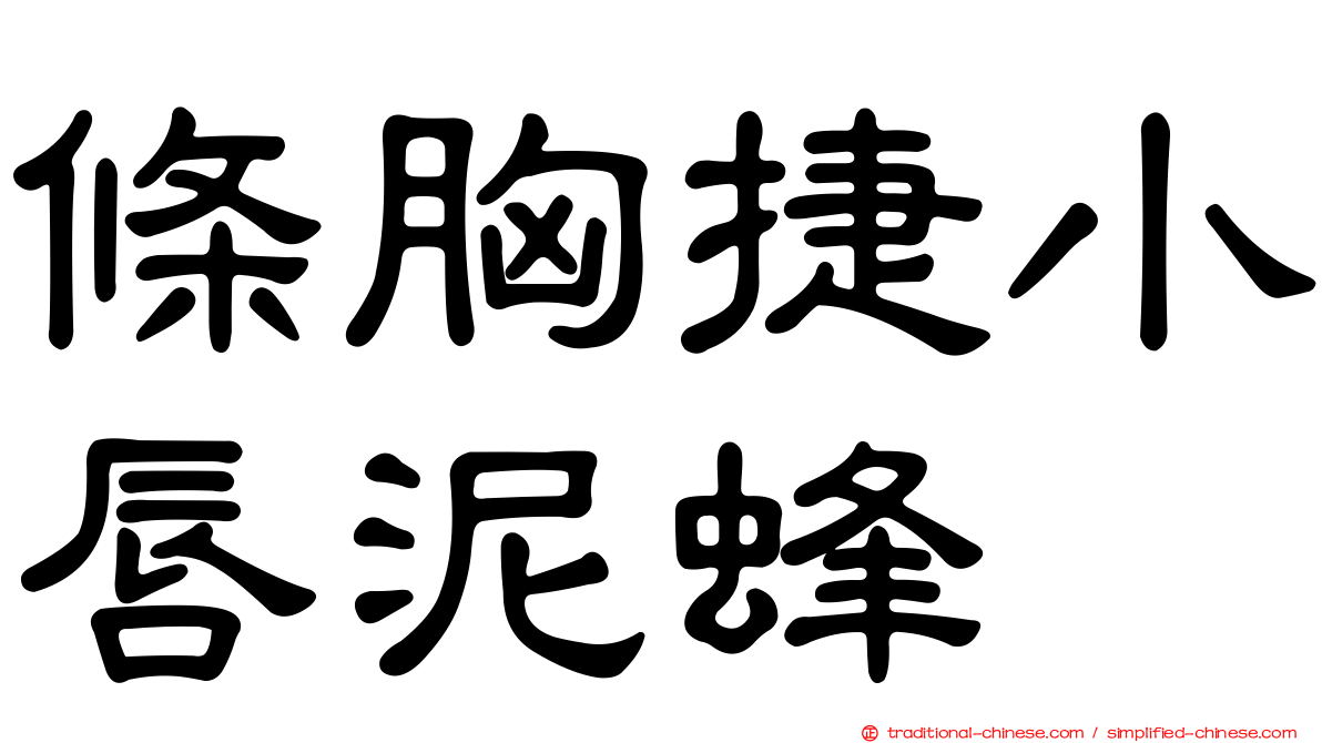 條胸捷小唇泥蜂