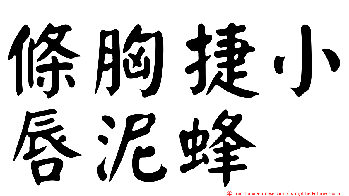 條胸捷小唇泥蜂