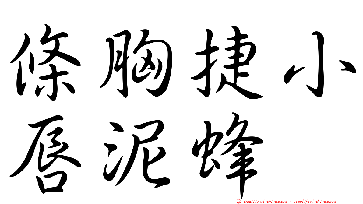 條胸捷小唇泥蜂
