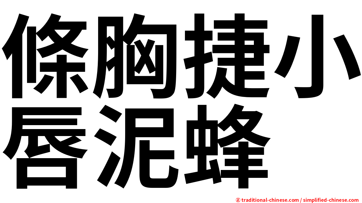 條胸捷小唇泥蜂