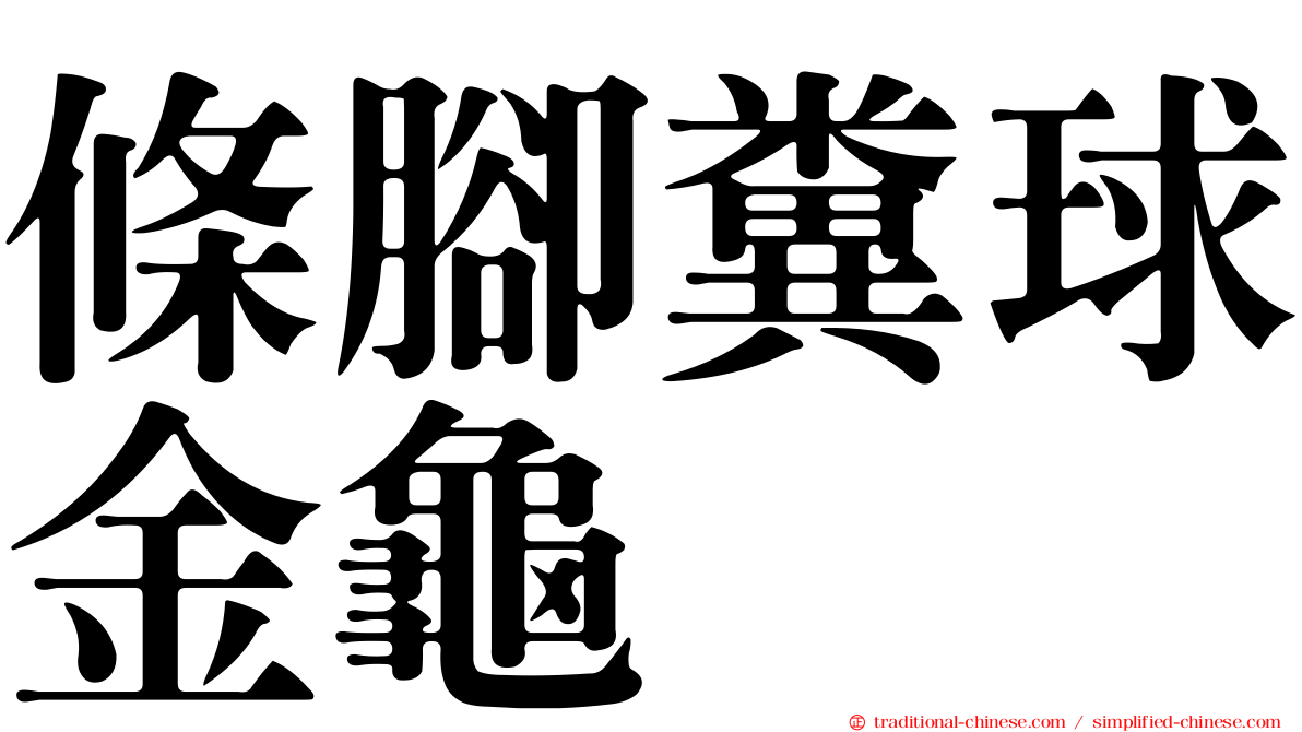 條腳糞球金龜