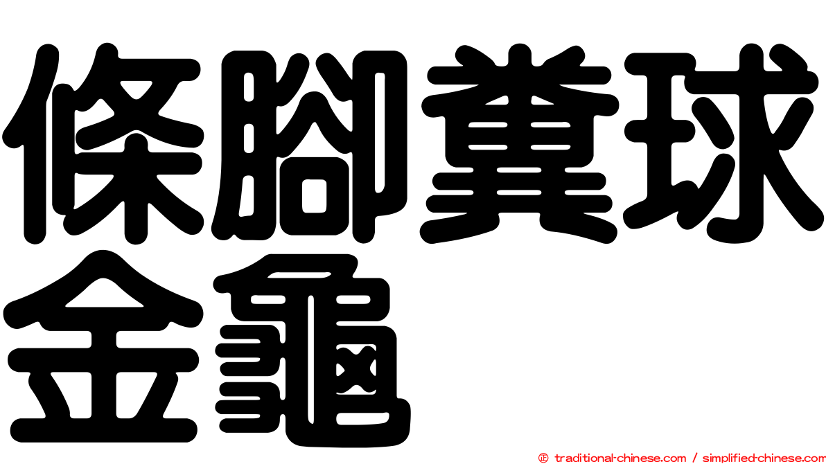 條腳糞球金龜