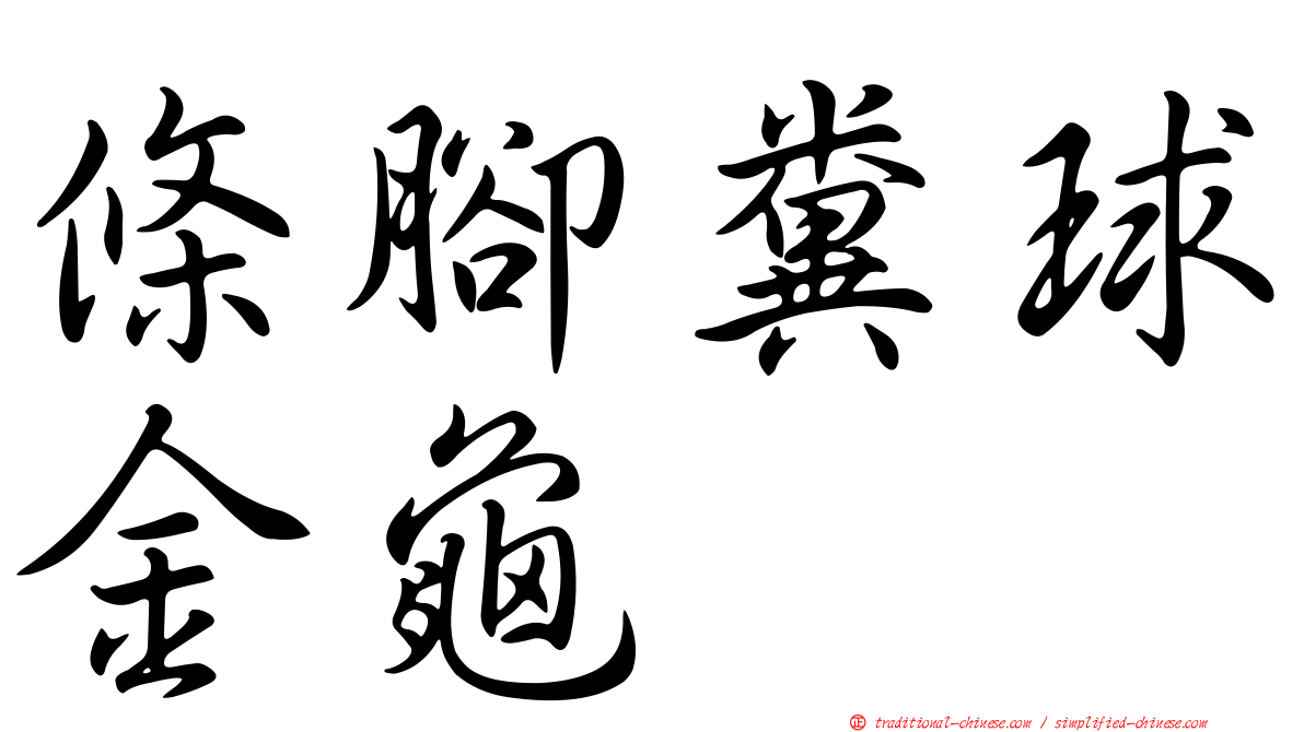 條腳糞球金龜