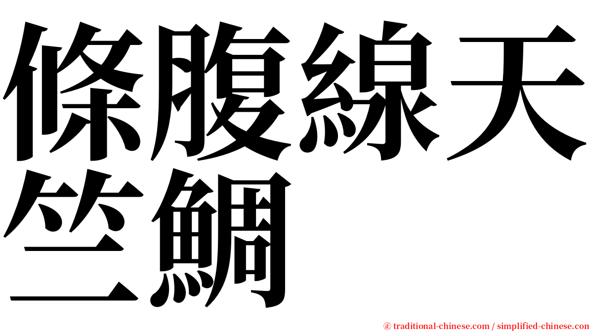 條腹線天竺鯛 serif font