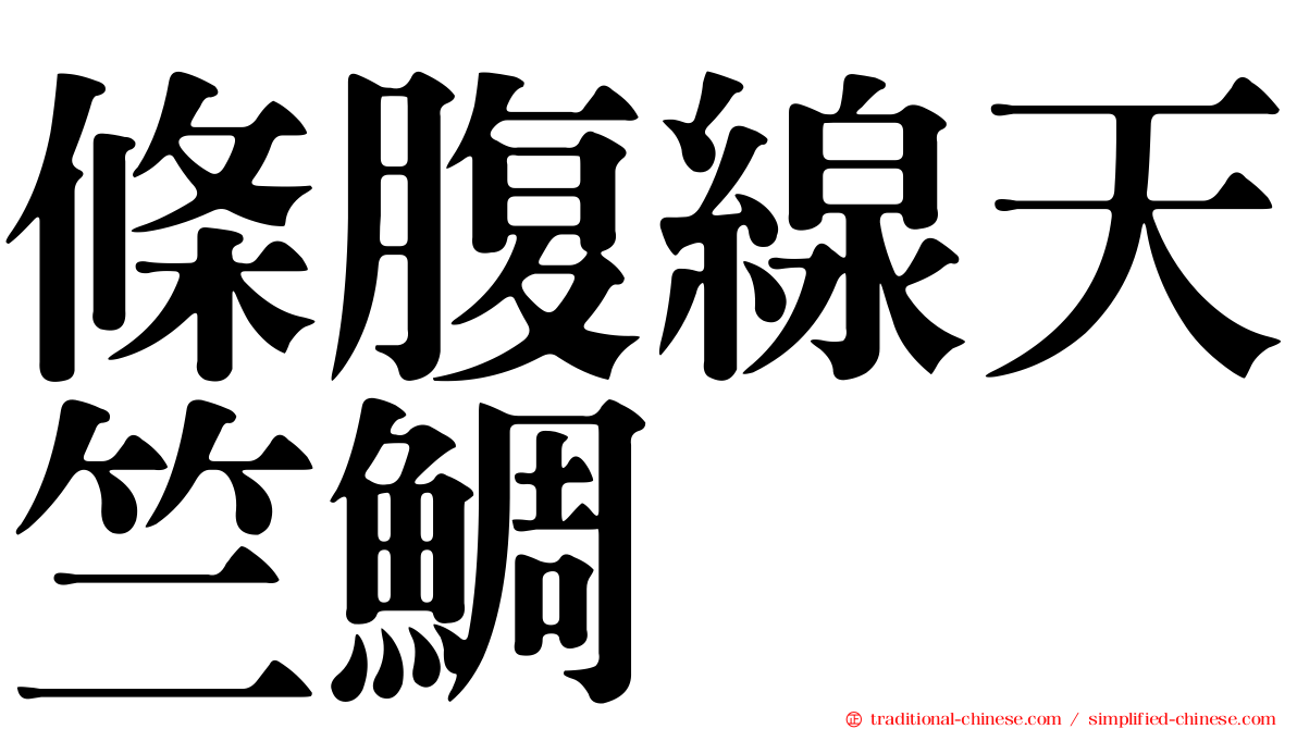 條腹線天竺鯛