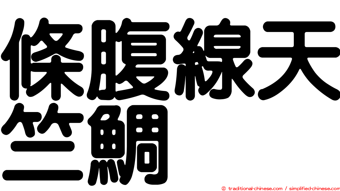 條腹線天竺鯛