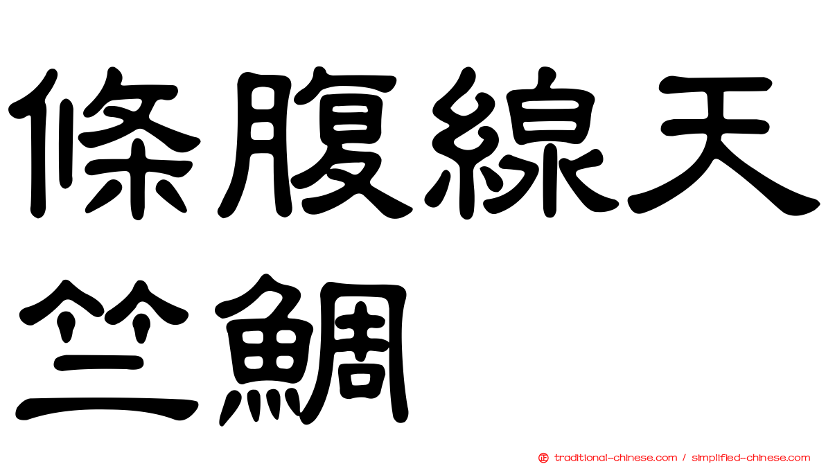 條腹線天竺鯛