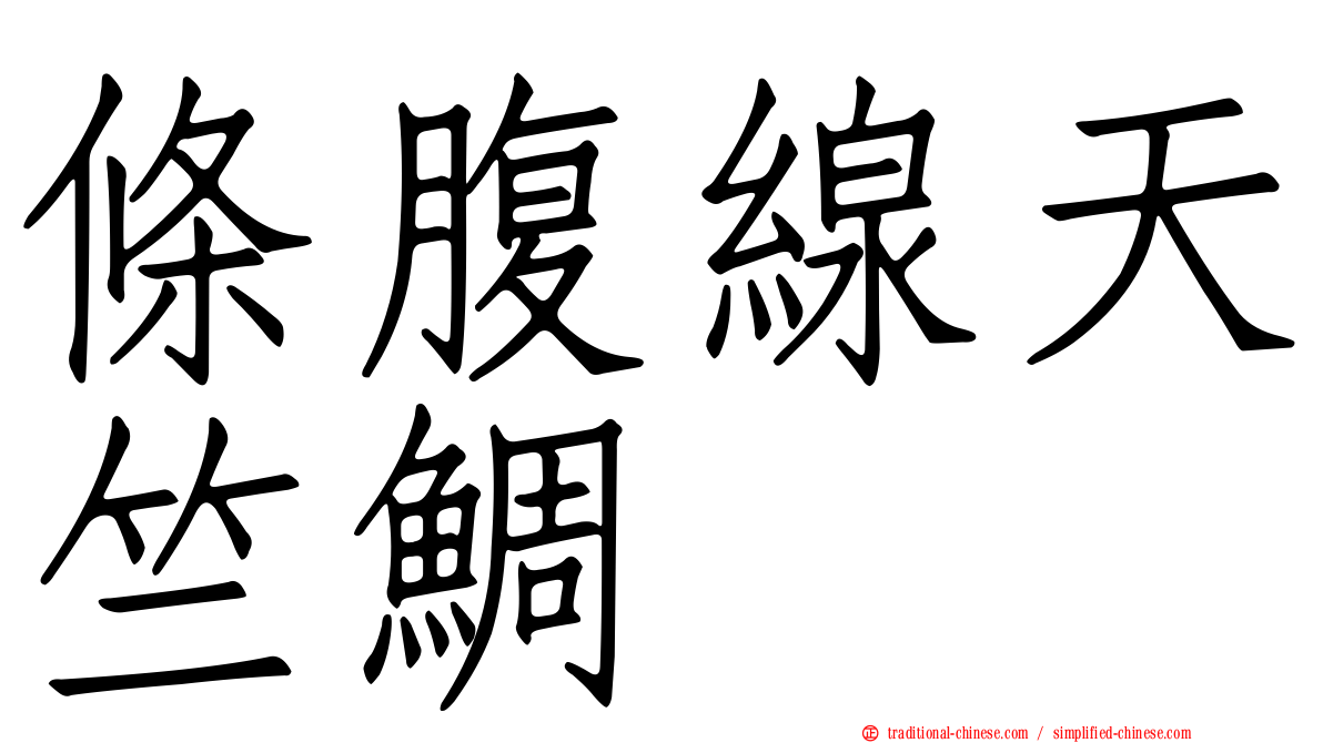 條腹線天竺鯛