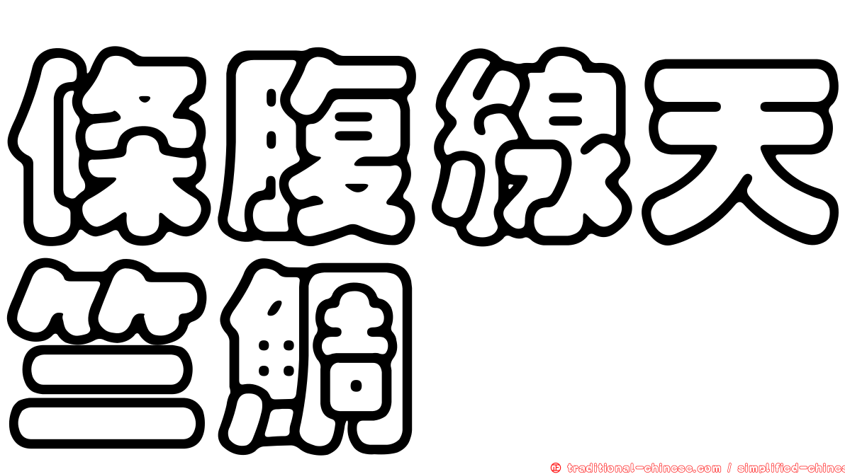 條腹線天竺鯛