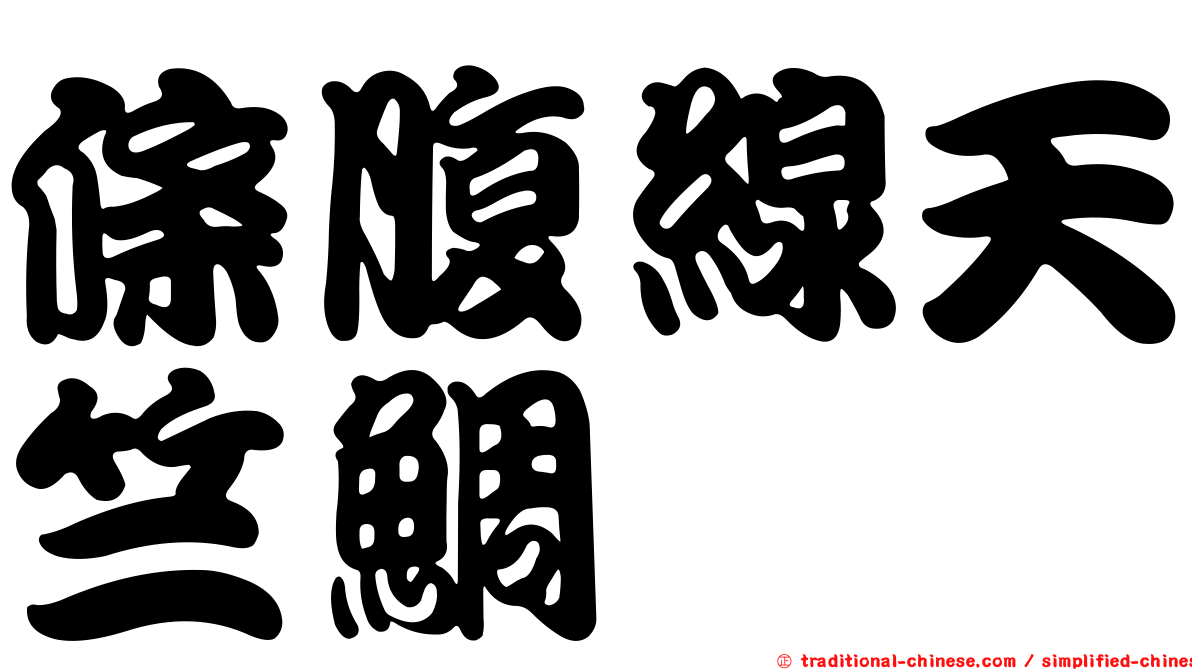 條腹線天竺鯛