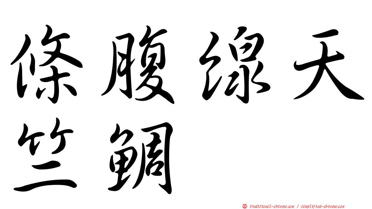 條腹線天竺鯛
