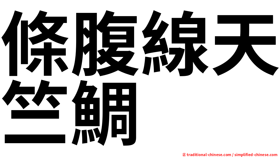 條腹線天竺鯛