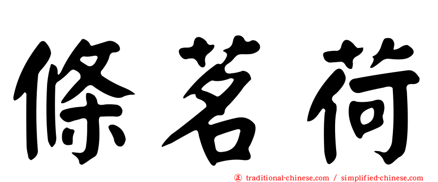 條茗荷