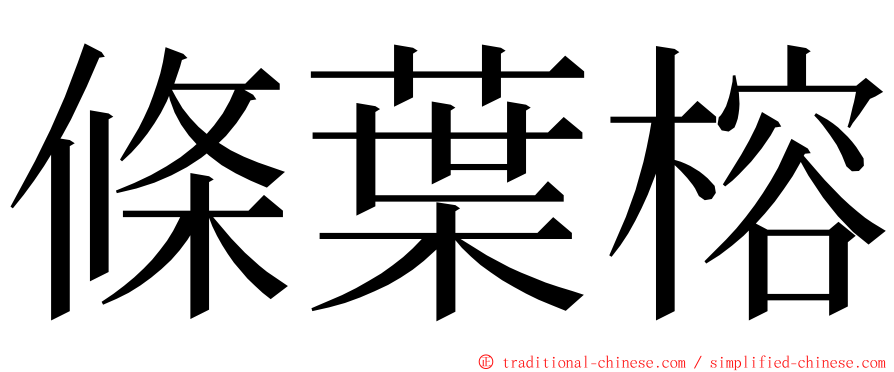 條葉榕 ming font