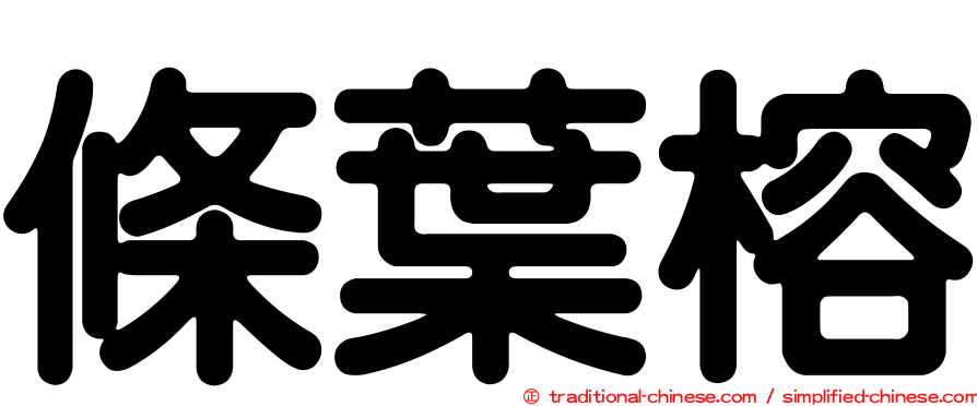 條葉榕