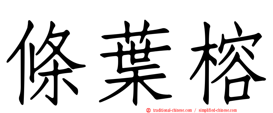 條葉榕