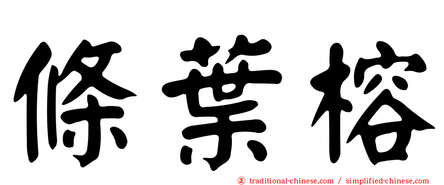 條葉榕