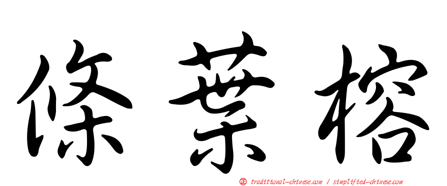 條葉榕