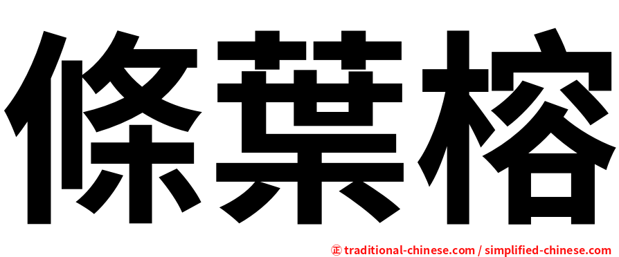 條葉榕