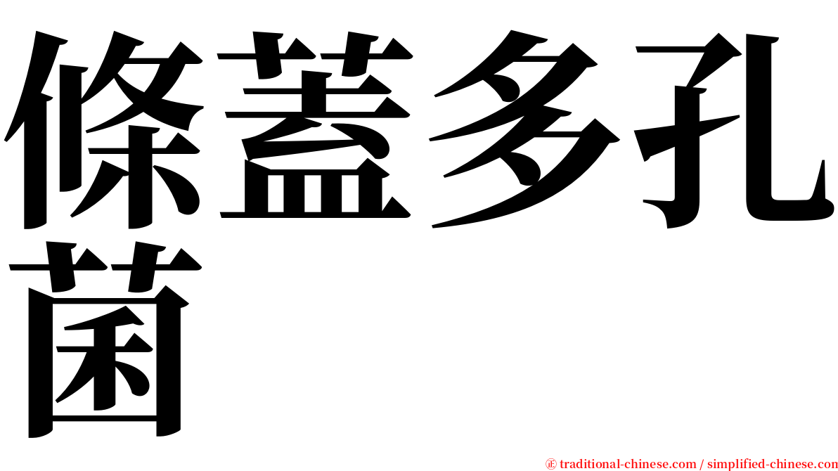 條蓋多孔菌 serif font